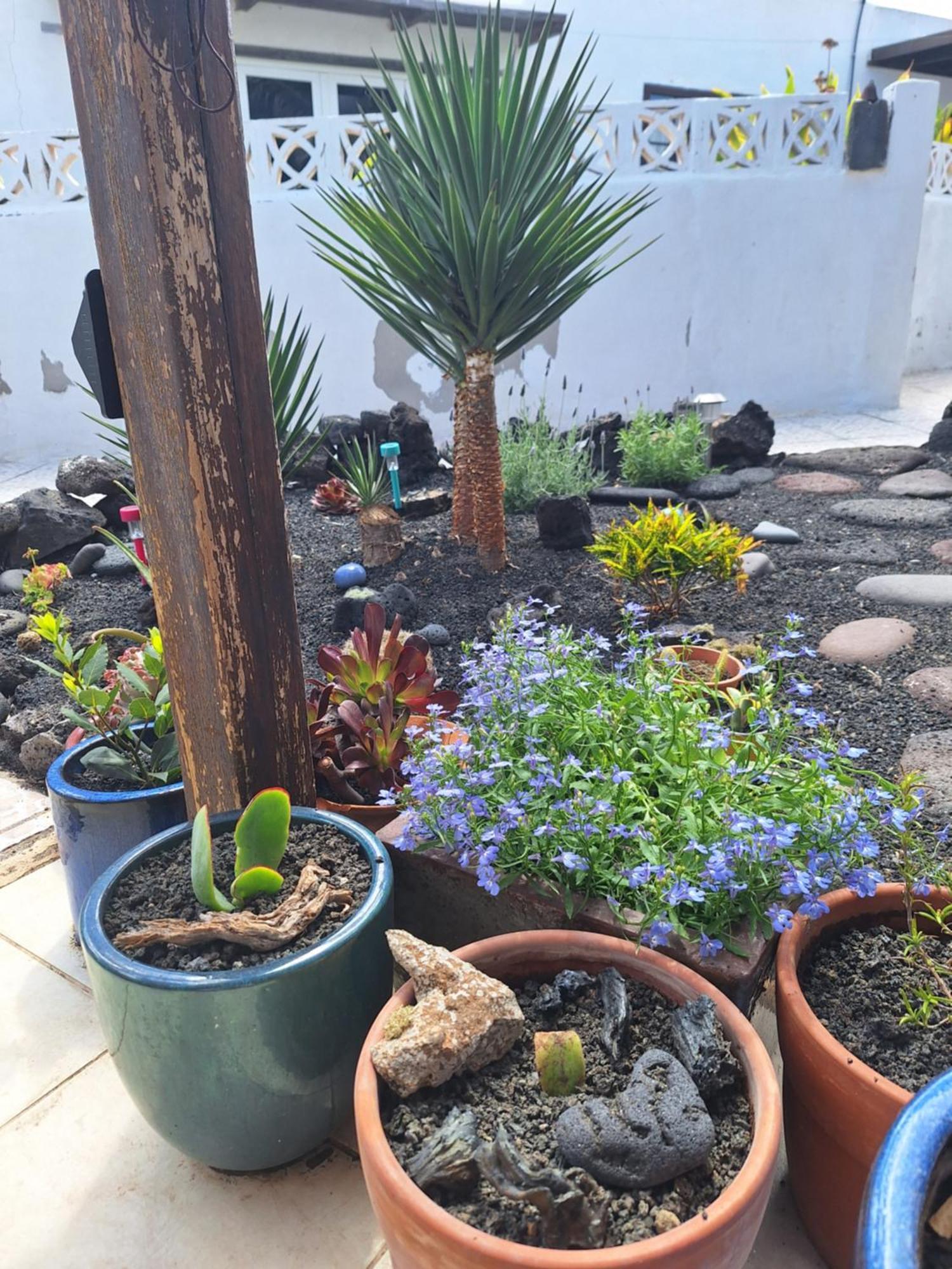 Вилла Casita Pequena Lanzarote Тегисе Экстерьер фото
